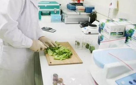 食品重金屬檢測儀，關注食品安全，防范重金屬危害